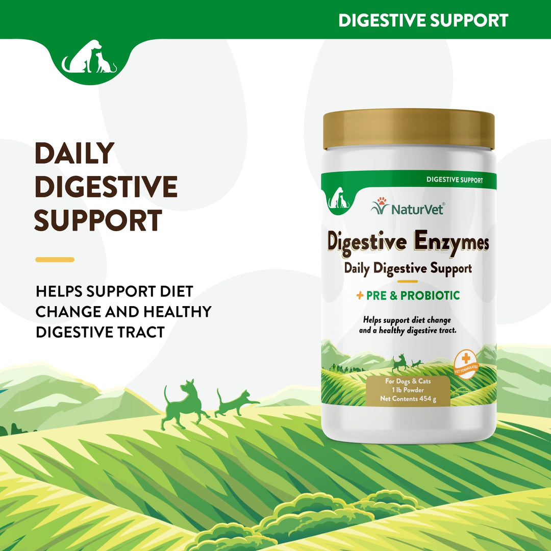– Digestive Enzymes - Plus Probiotics & Prebiotics – Helps Support Diet Change & A Healthy Digestive Tract – for Dogs & Cats – 1 lb Powder