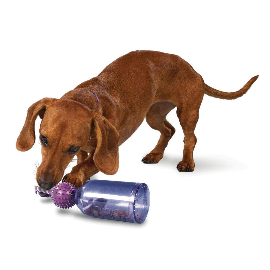 Busy Buddy Tug-A-Jug Dog Toy – Slow Feeder and Trainer – Small