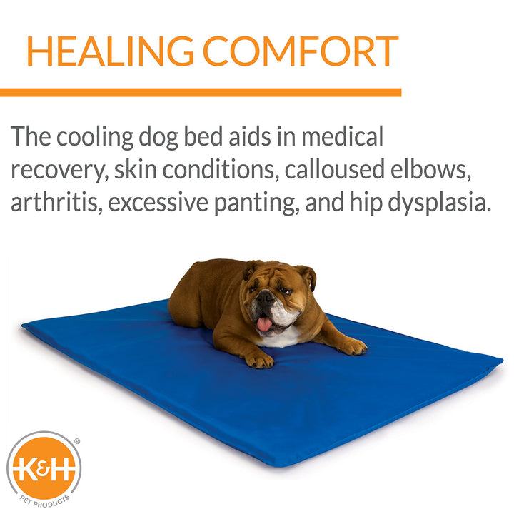 K&H Pet Products Cool Bed III Dog Cooling Mat, Indoor Outdoor Cooling Beds for Medium Dogs, Chilling Pet Pad for in Home, Outdoor Houses, Crates, Yards, Porches - Medium 32 X 22in Chill Blue