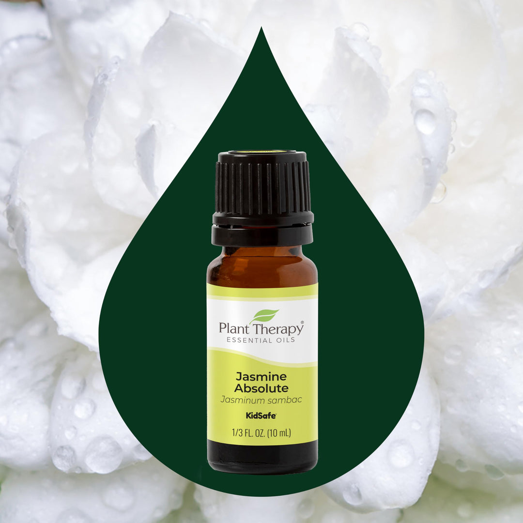 100 ml (3.3 oz) : Jasmine Absolute Essential Oil. 100 ml (3.3 oz) 100% Pure, Undiluted, Therapeutic Grade