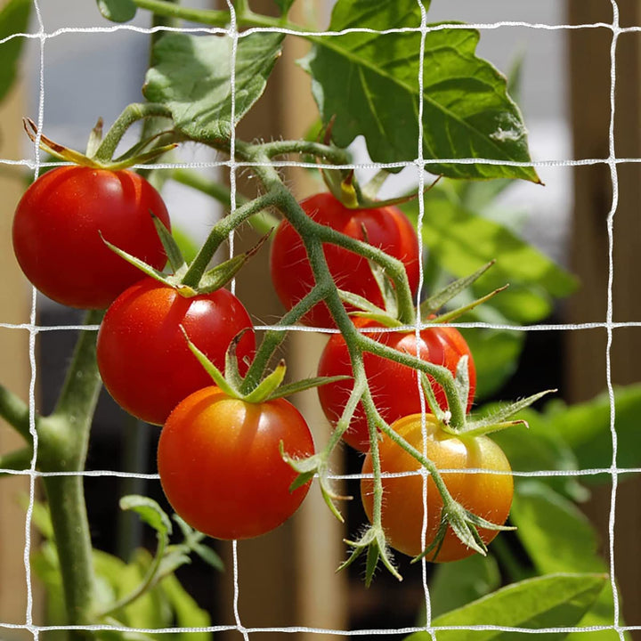 Heavy-Duty Polyester Garden Trellis Net Plant Support Netting for Climbing Plants Outdoor, Flexible String Net for Bean Pea, White Grow Tent (4.9Ft x 30Ft, 3.5 Opening Mesh, 1 Pack Plant Net)