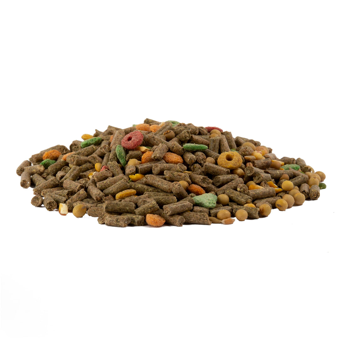 Advanced Nutrition Guinea Pig, 4 Pounds, Complete And Balanced Diet