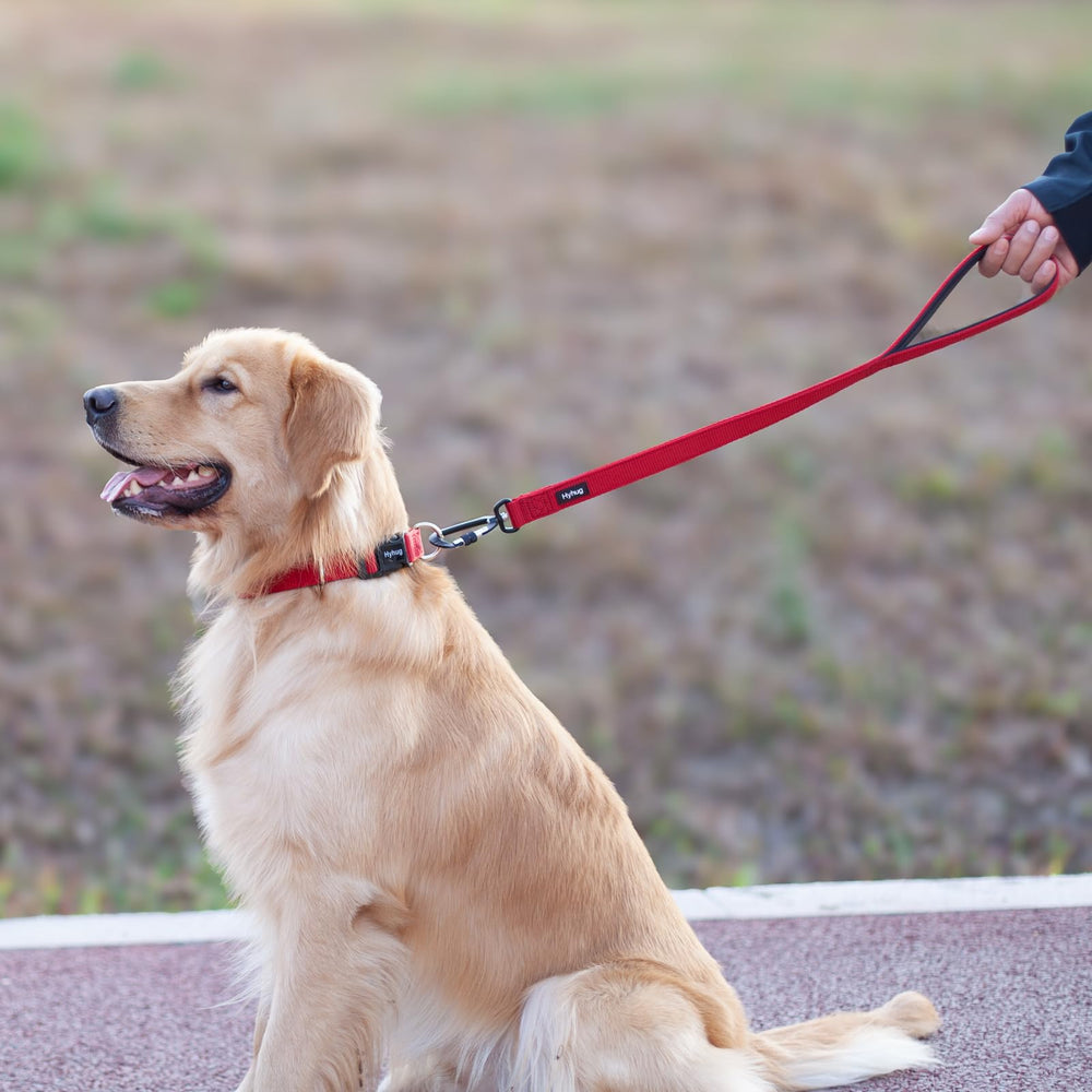 Pets 24 Inches Durable Short Leash with Neoprene Soft Handle and Lightweight Aviation Aluminium Clip Lead- for Daily Use Walking and Professional Training. (Red)