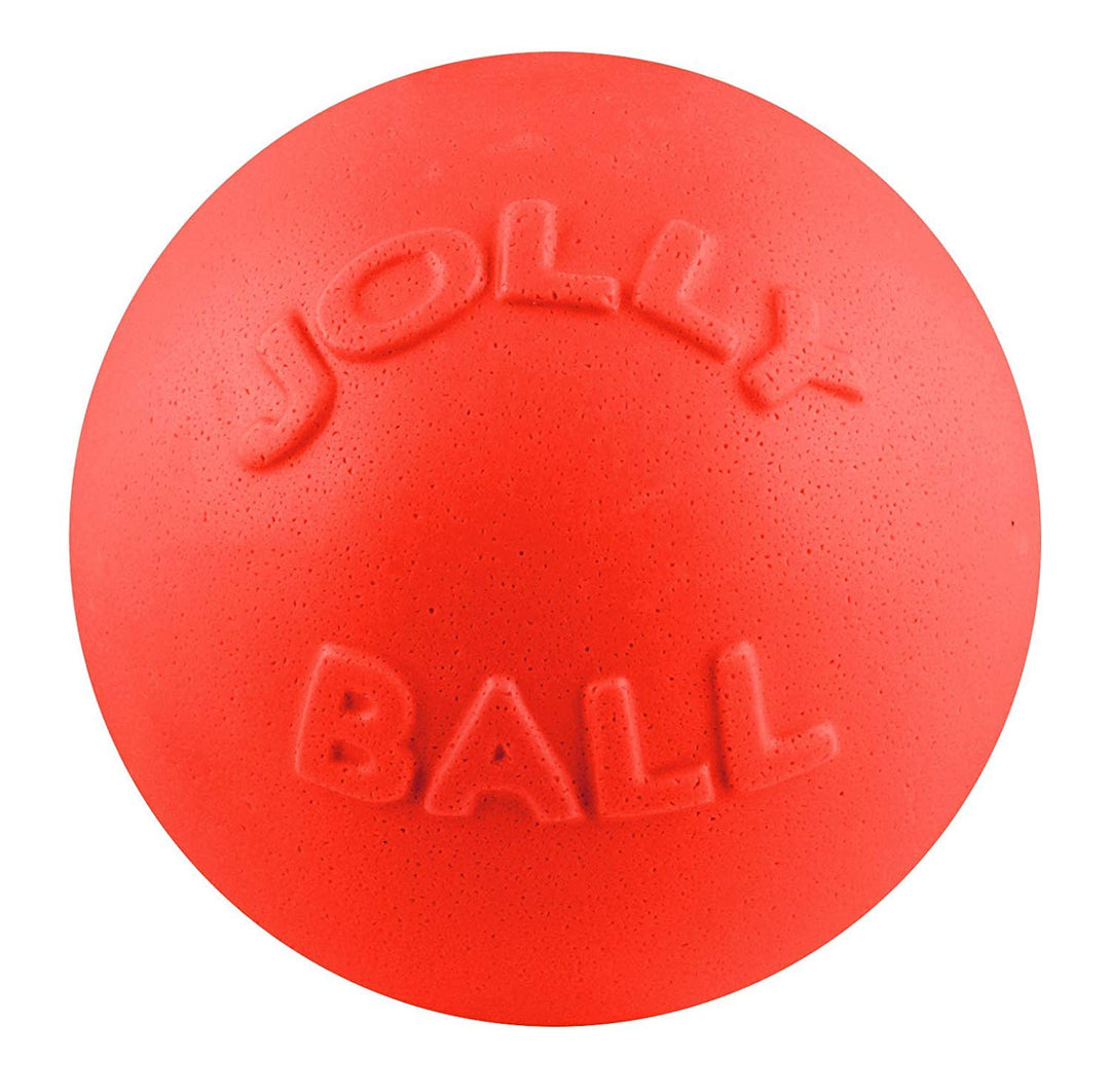 Dog 6-Inch Bounce-n-Play, Orange, 6 Inches/Medium