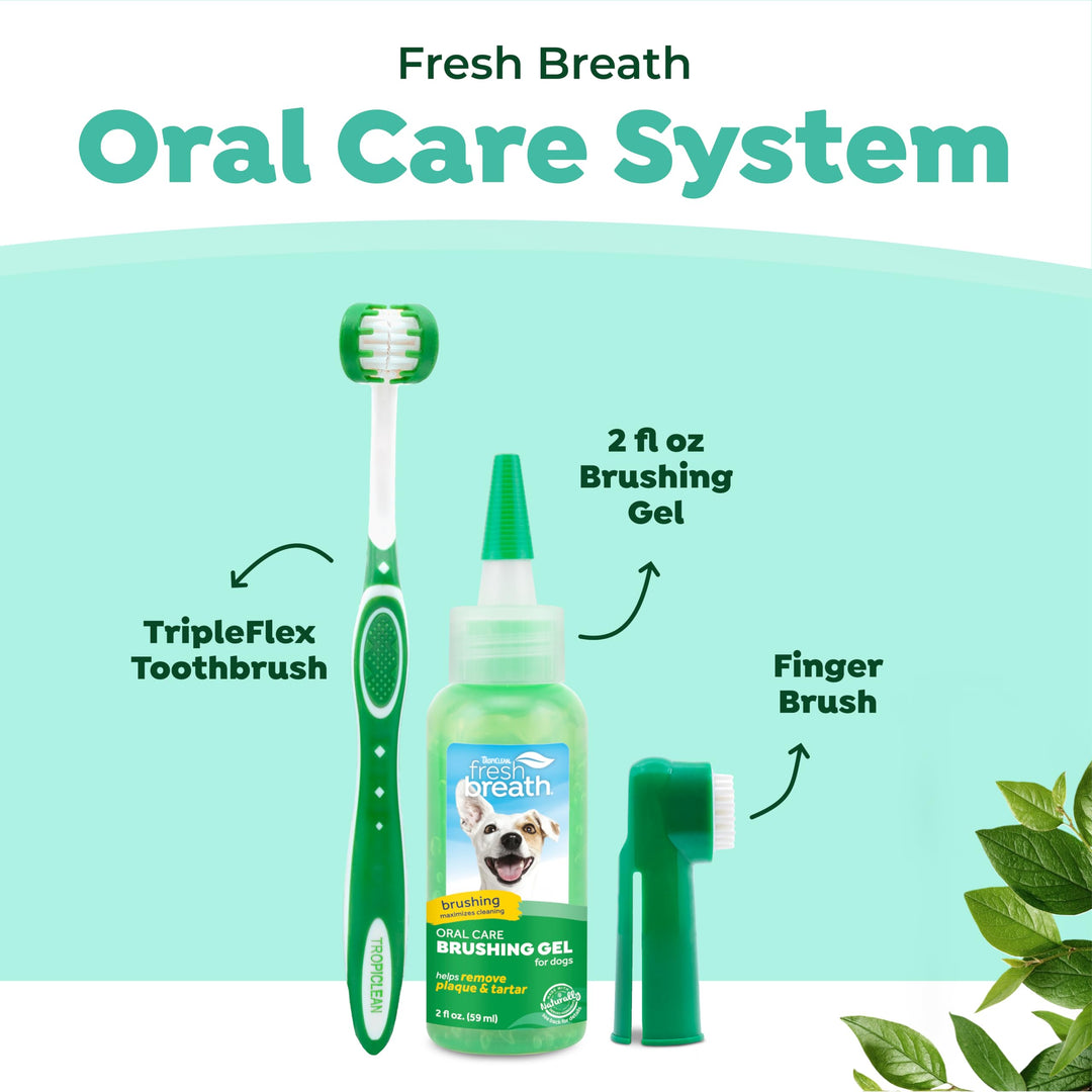 Fresh Breath Toothbrush and Toothpaste Kit for Dogs, Teeth Cleaning Kit for Plaque & Tartar Removal, Breath Freshener, Dog Dental Care