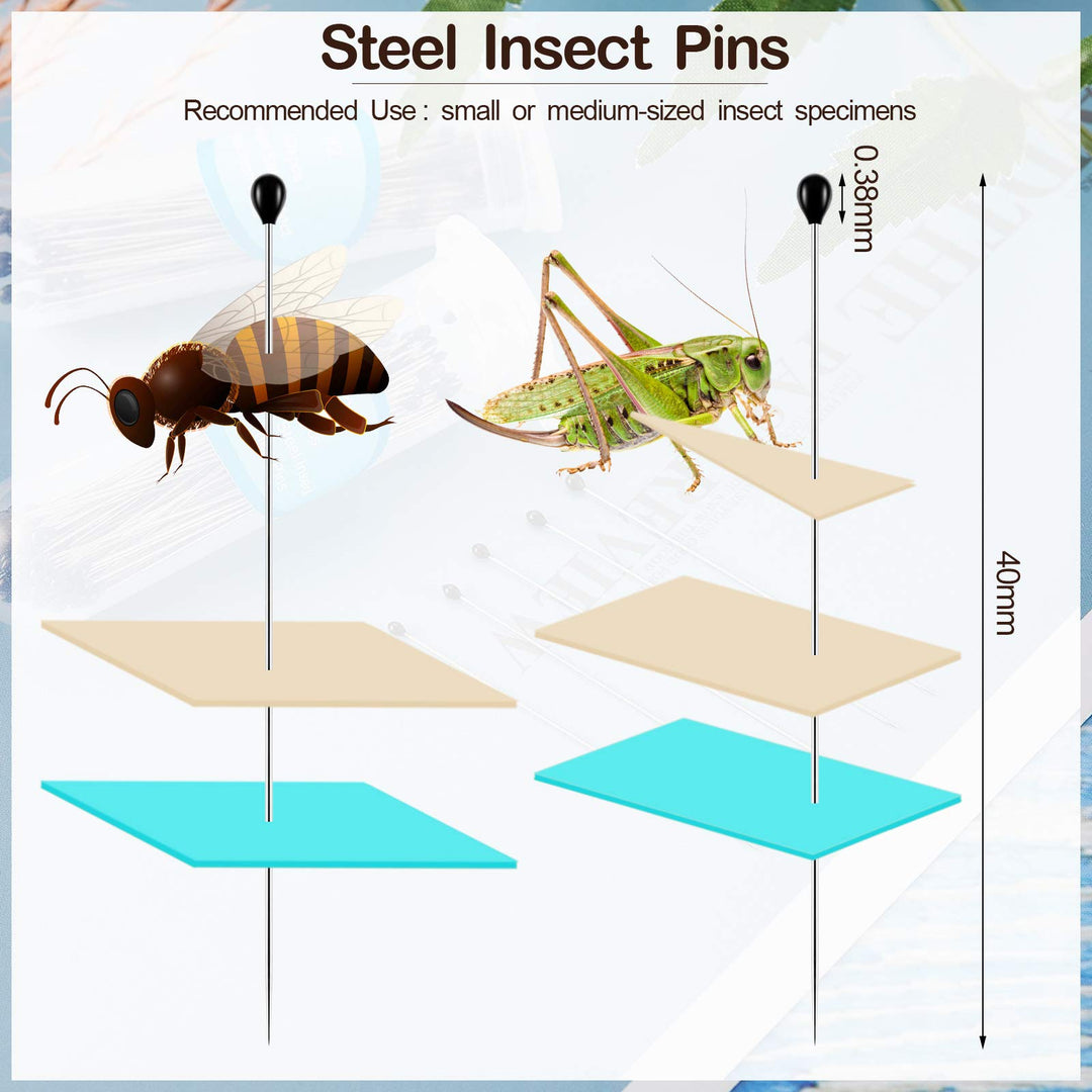Stainless Steel Insect Pins Kit Specimen Entomology Pins Butterfly Collections Needles Variety Pack for School Lab Entomology Dissection Butterfly Collectors (500 Pieces,Size 2)