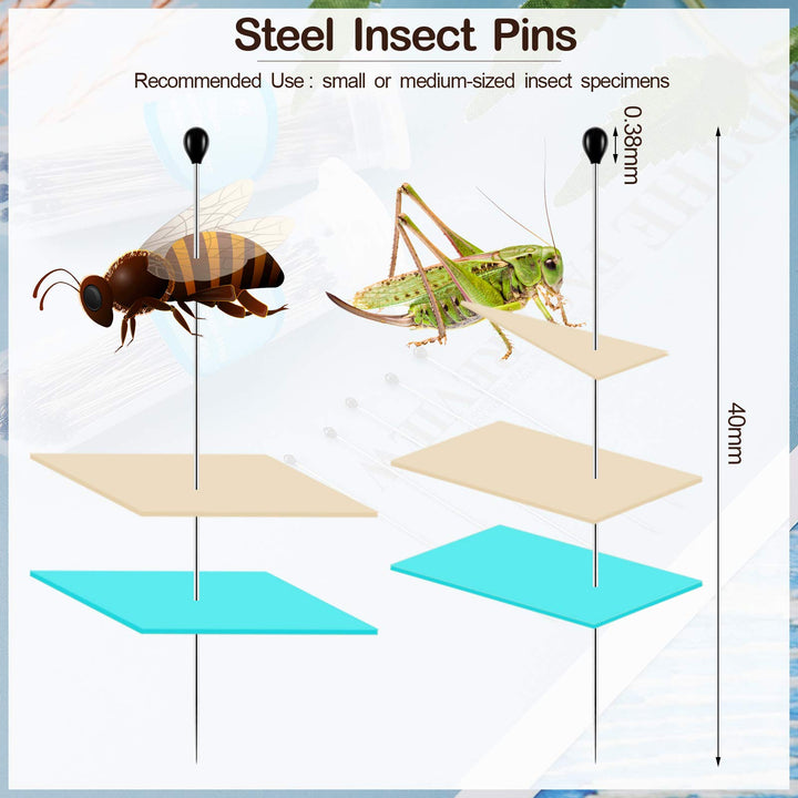 Stainless Steel Insect Pins Kit Specimen Entomology Pins Butterfly Collections Needles Variety Pack for School Lab Entomology Dissection Butterfly Collectors (500 Pieces,Size 2)