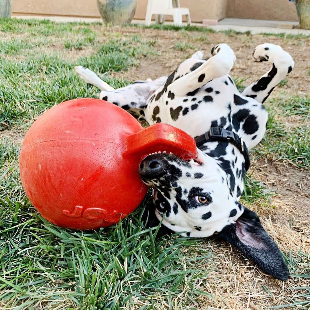 Tug-n-Toss Dog Toy Ball with Handle, 10 XL, Red