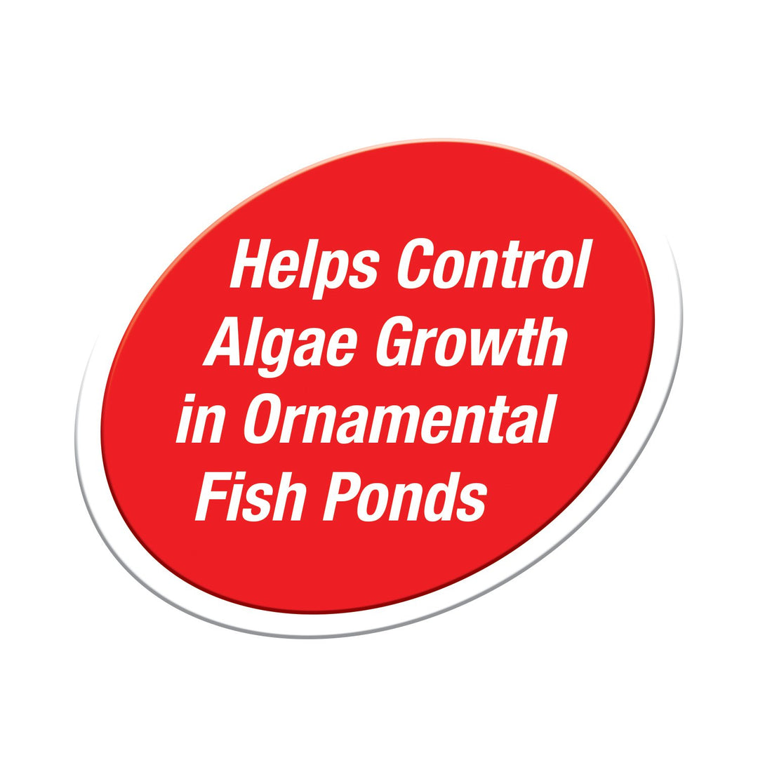 Pond Block 4 Count, Controls Algae Growth In Ornamental Fish Ponds (16735)