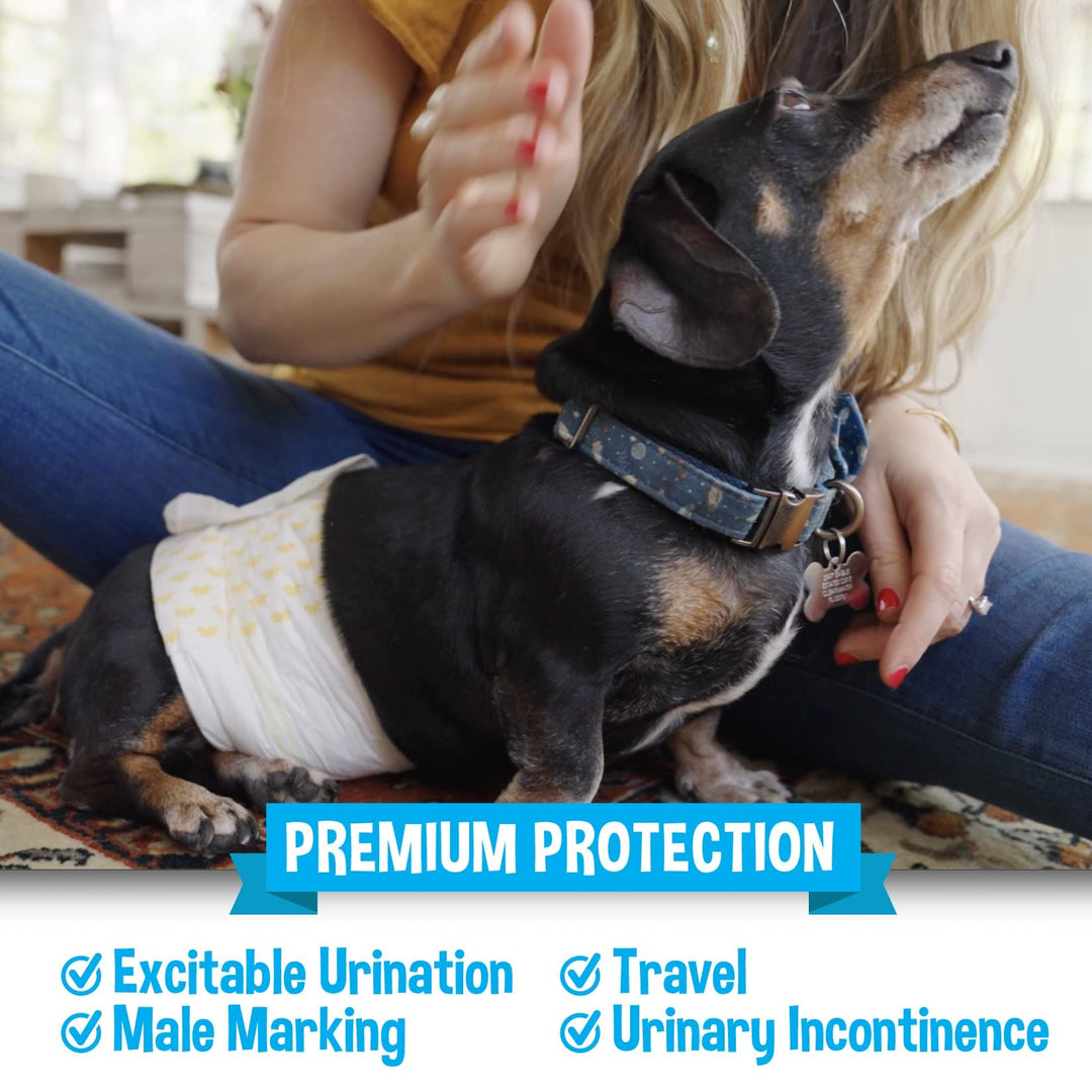 Disposable Male Dog Diapers - Super Absorbent, Leak-Proof Pee Wraps - Adjustable Fit, Comfortable Design, Advanced Moisture Control, and Wetness Indicator - Small (20 Count)
