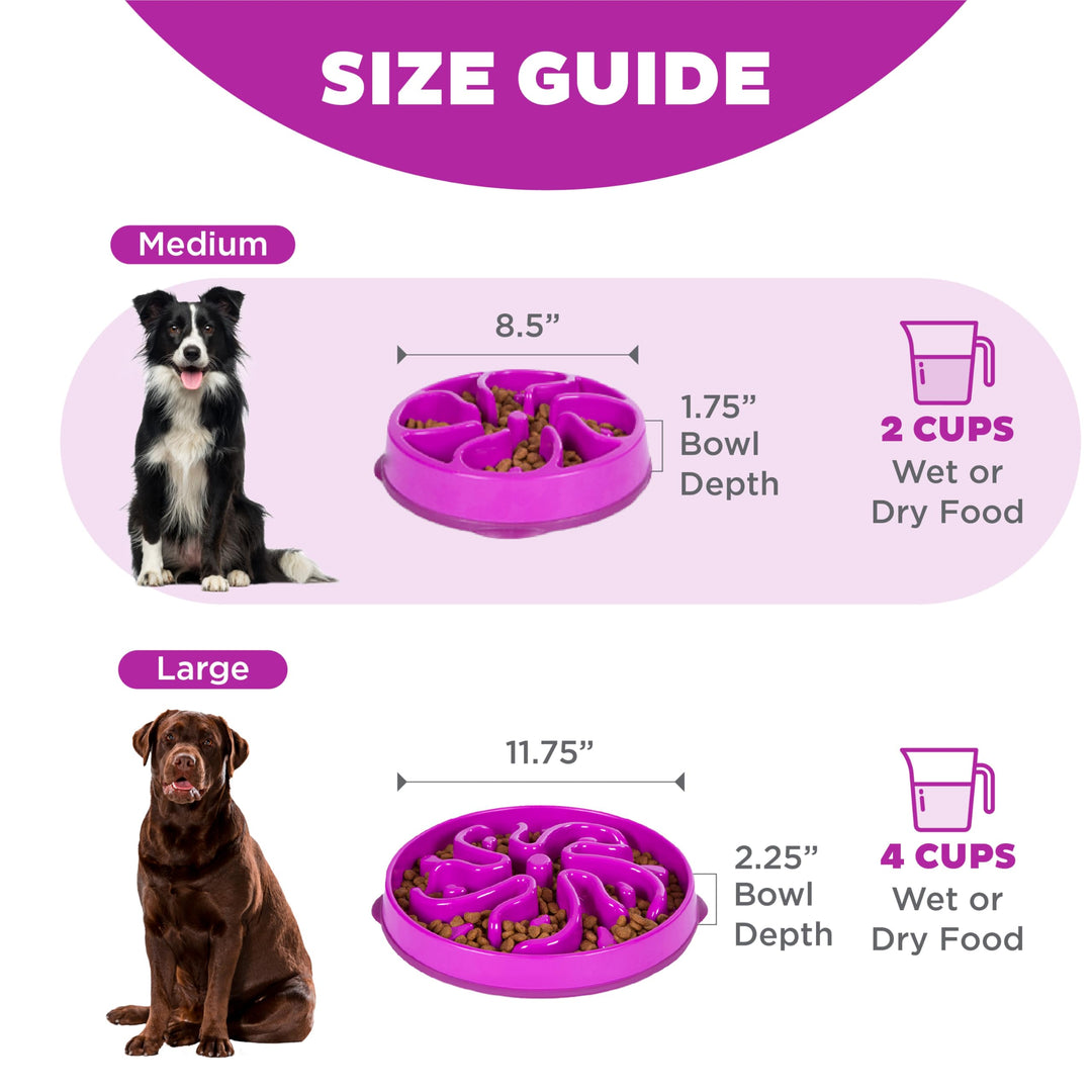 Fun Feeder Slo Bowl, Slow Feeder Dog Bowl, Medium/Mini, Purple
