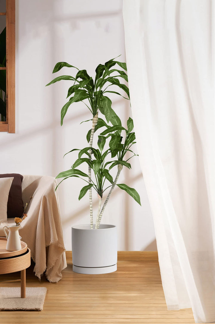 10 inch Ceramic Planter Pot with Drainage Hole & Saucer, Glazed Mid Century Modern Large Cylinder Plants Pot for Indoor Outdoor Decorative Flower Fiddle Leaf Fig Pots (10 Matte White)
