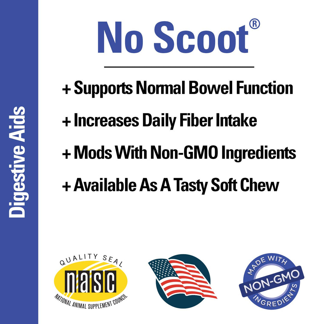 No Scoot Dog Supplements for Healthy Anal Gland Function – Support Normal Bowel Functions, Anal Glands – Increases Daily Fiber Intake for Dogs – 120 Soft Chews