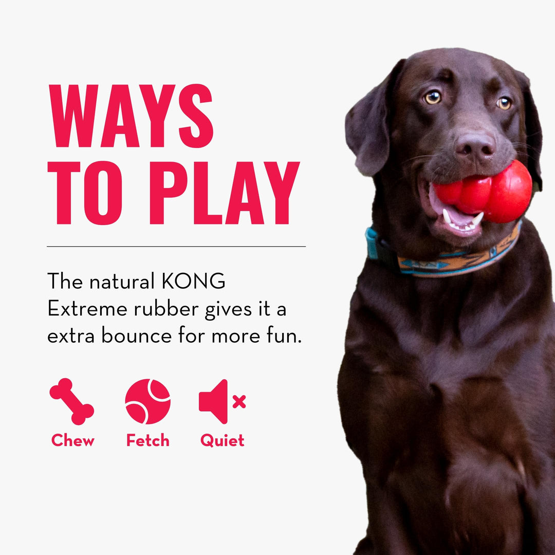 Extreme Ball with Hole - Fetch Toy - Durable Dog Toy for Training, Interactive Playtime & More - Natural Extreme Rubber Ball - Black - For Small Dogs