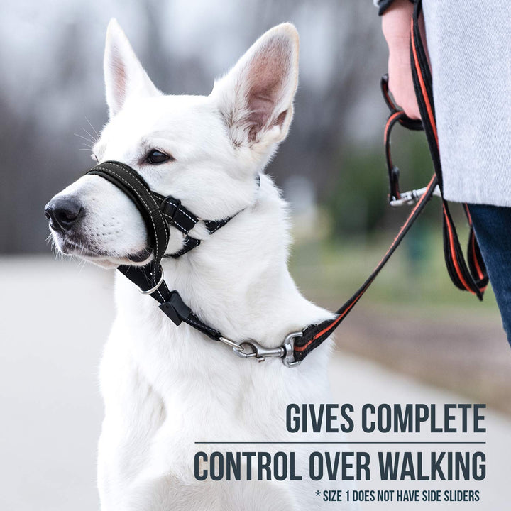 Dog Head Halter with Safety Strap - Stops Heavy Pulling On The Leash - Padded Headcollar for Small Medium and Large Dog Sizes - Head Collar Training Guide Included (Size 1, Black)
