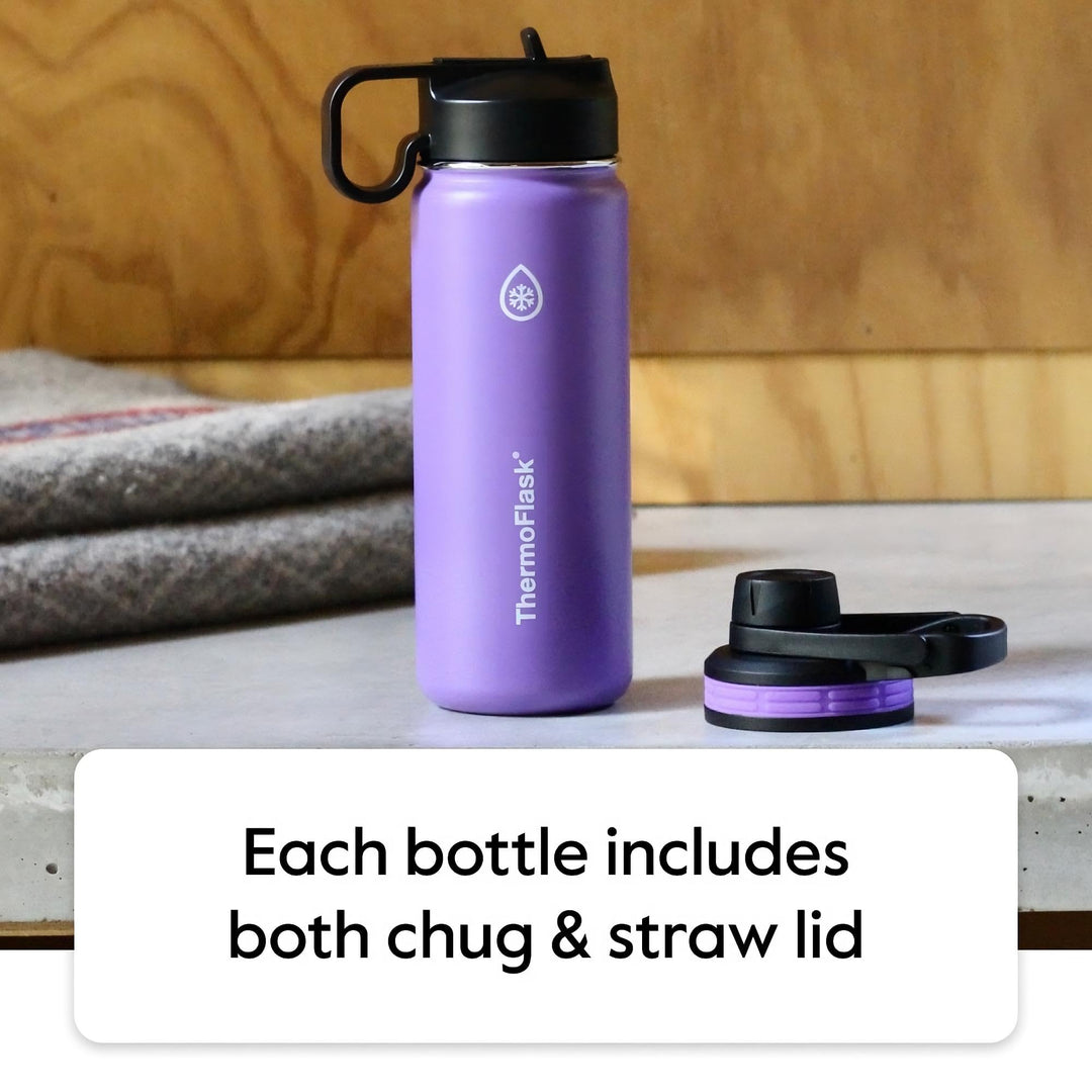 ThermoFlask 24 oz Double Wall Vacuum Insulated Stainless Steel Water Bottle with Spout and Straw Lids, Plum