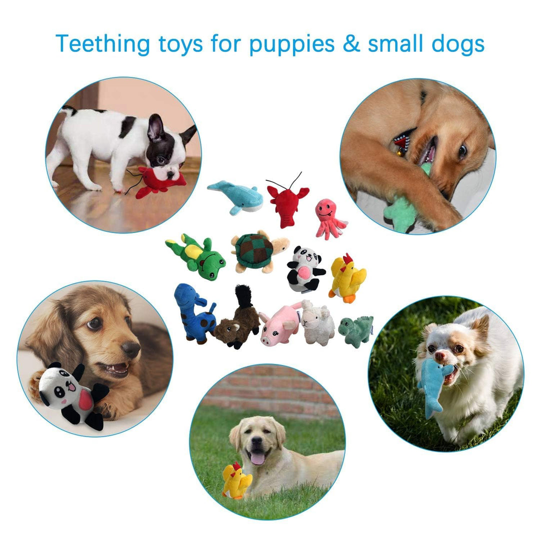 Squeaky Plush Dog Toy Pack for Puppy, Small Stuffed Puppy Chew Toys 12 Dog Toys Bulk with Squeakers, Cute Soft Pet Toy for Small Medium Size Dogs