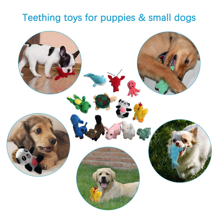 Squeaky Plush Dog Toy Pack for Puppy, Small Stuffed Puppy Chew Toys 12 Dog Toys Bulk with Squeakers, Cute Soft Pet Toy for Small Medium Size Dogs