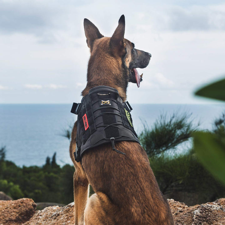 Tactical Dog Harness - Fire Watcher Comfortable Patrol Vest (Black, Large)