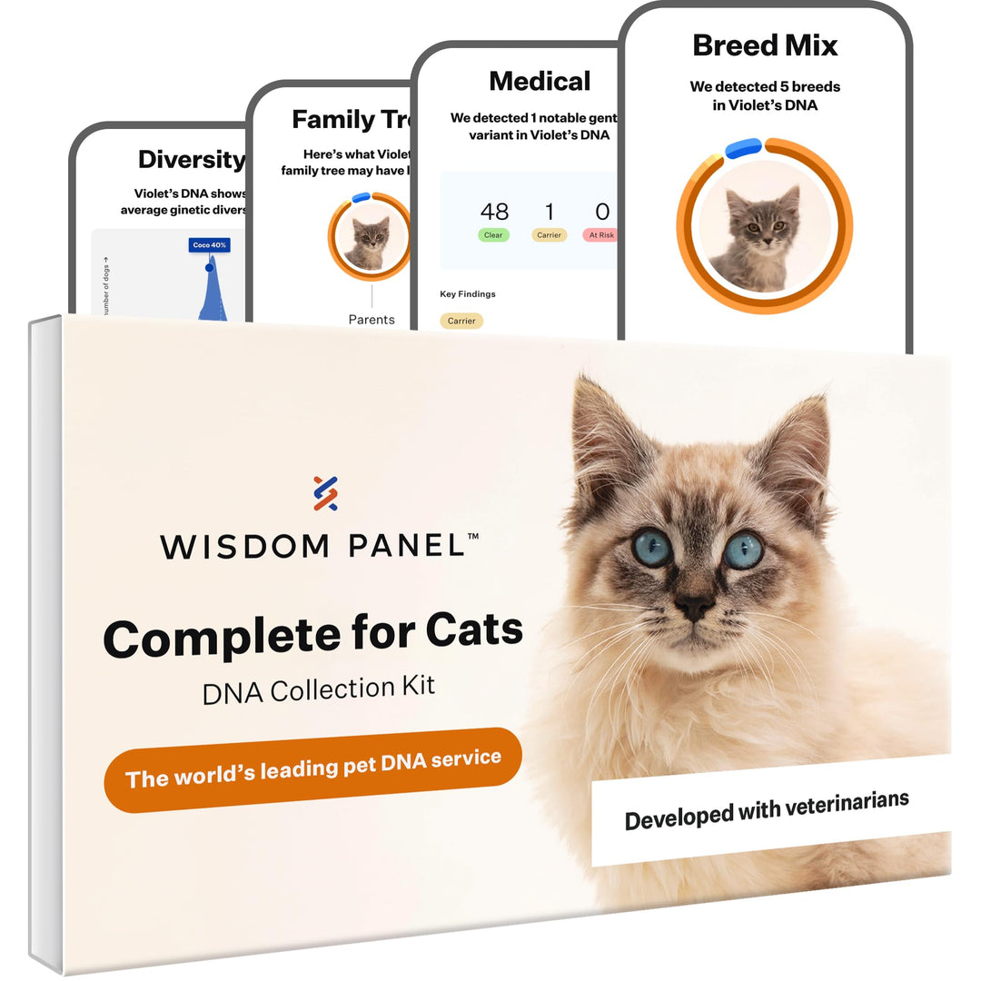 Panel Complete: Comprehensive Cat DNA Test kit for 45 Genetic Health Conditions, 70+ Breeds and populations, 25+ Traits, Blood Type - Pack of 1