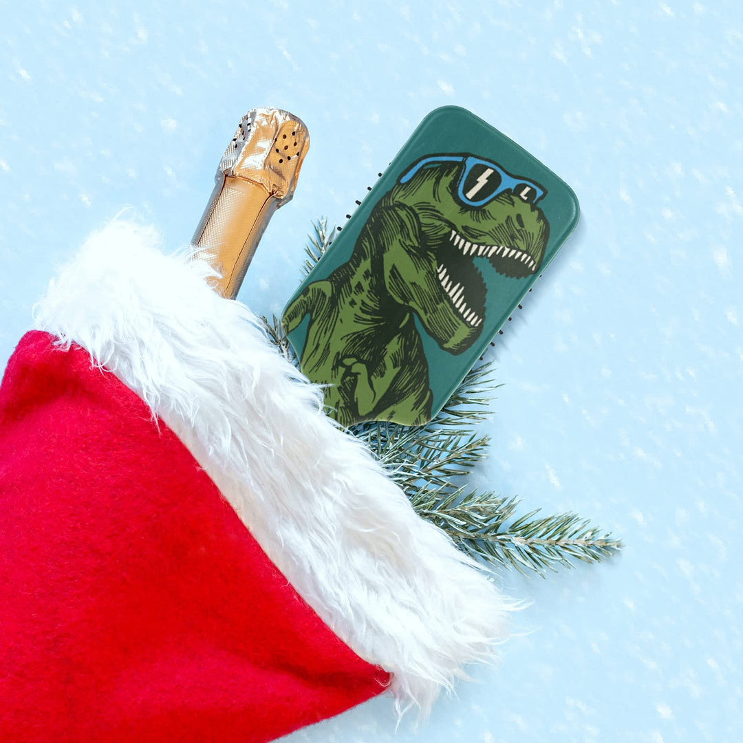 Dinosaur Hair Brush, Wet Dry Hair Brush Plastic Detangler Hair Brush for Kids Christmas Gift Women Men