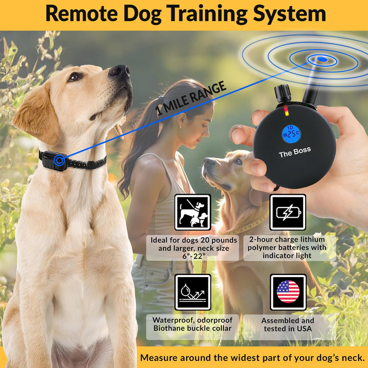 E-Collar Humane Dog Training Collar with Remote, Features 100 Levels of Safe Stimulation, Tapping Sensation, Night Light, Waterproof, Rechargeable, 1 Mile 1 Dog, Black