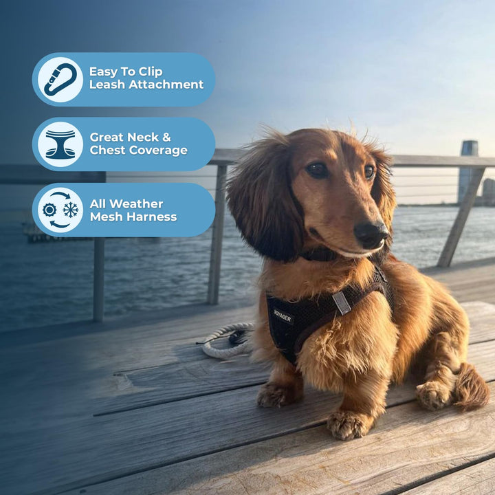 Voyager Step-In Air Dog Harness - All Weather Mesh, Reflective, No Pull Harness for Small, Medium Dogs, Cats - Secure with Hook & Loop Fastener, Buckle, Double D-Rings - Black/Black Trim, M