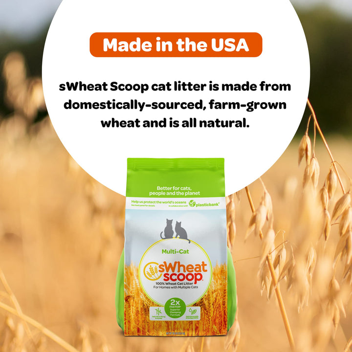 Natural Wheat Multi-Cat Litter, Superior Clumping with Odor Neutralizing Enzymes, 36 Pound Bag