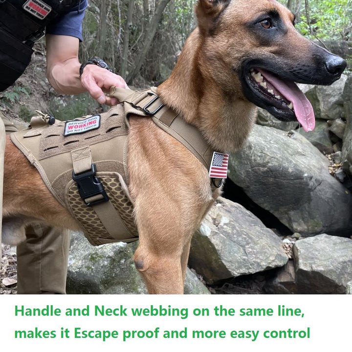 Service Dog in Training Vest, Service Dog Harness, Service Dog Vest for Large Dogs Breed, Large Tactical Dog Harness with Service Dog Patches