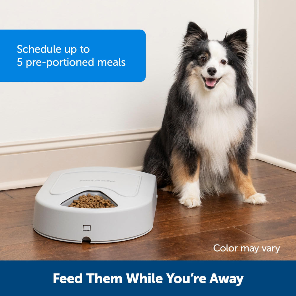 Automatic Dog Feeder, 5 Meals, 40 oz Capacity, Plastic, for Dry Food, Multiple Pets