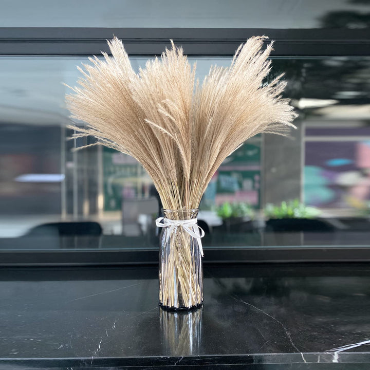 OSWL Nature Dried Pampas Grass Decorations - Natural Phragmites Dried Flowers DIY Home Decor Grass Suitable for Home Decoration Flower Bouquet Props Home Party Wedding Decor 100 Pcs, 27.5IN