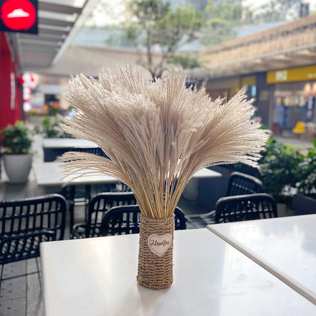 OSWL Nature Dried Pampas Grass Decorations - Natural Phragmites Dried Flowers DIY Home Decor Grass Suitable for Home Decoration Flower Bouquet Props Home Party Wedding Decor 100 Pcs, 27.5IN
