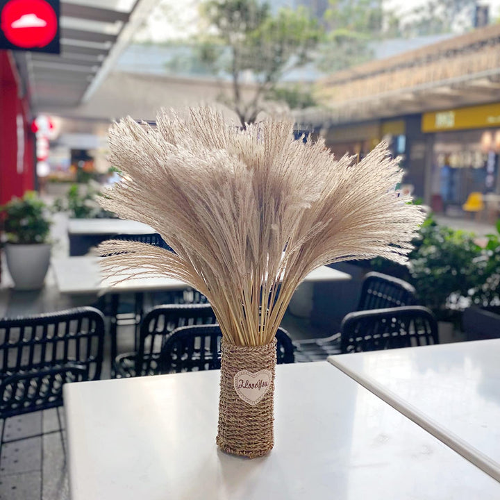 OSWL Nature Dried Pampas Grass Decorations - Natural Phragmites Dried Flowers DIY Home Decor Grass Suitable for Home Decoration Flower Bouquet Props Home Party Wedding Decor 100 Pcs, 27.5IN