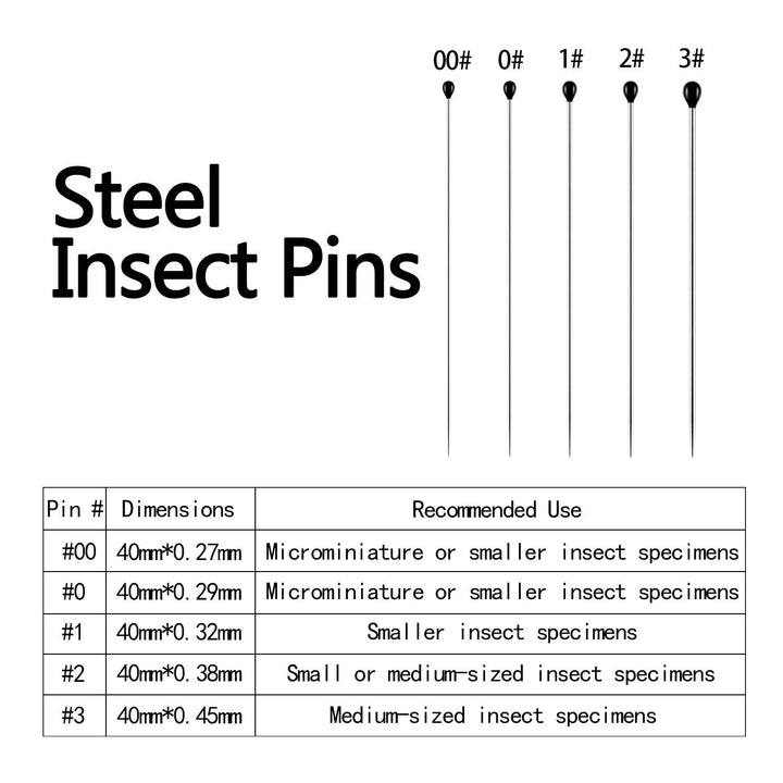 Willbond 500 Pcs Stainless Steel Insect Pins Kit 5 Sizes Specimen Entomology Butterfly Collection Needles Variety Pack School Lab Display Dissection