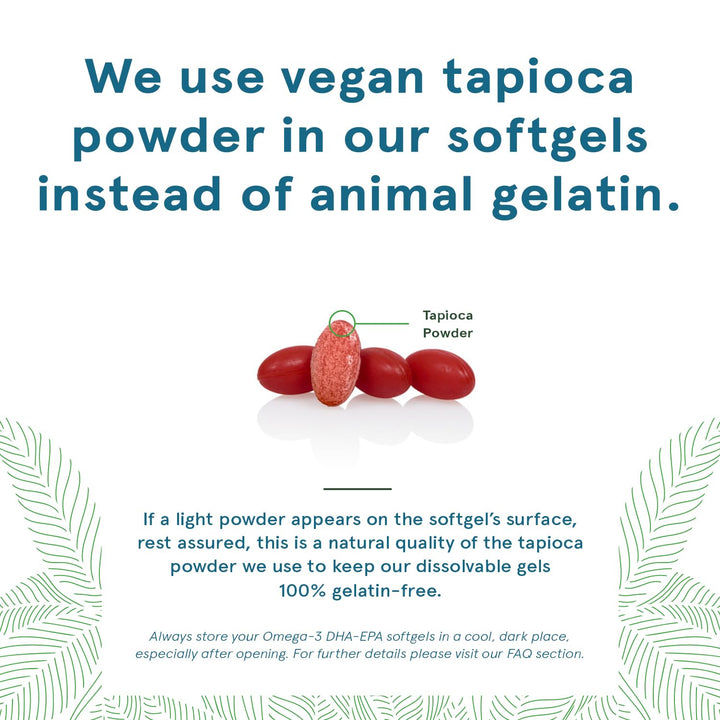 Vegan Omega-3 DHA EPA Supplement Once-Per-Day Softgel 300 MG - Carrageenan Gelatin & Gluten Free - Non-Fish Algae Oil Fatty Acids - 90 Softgels