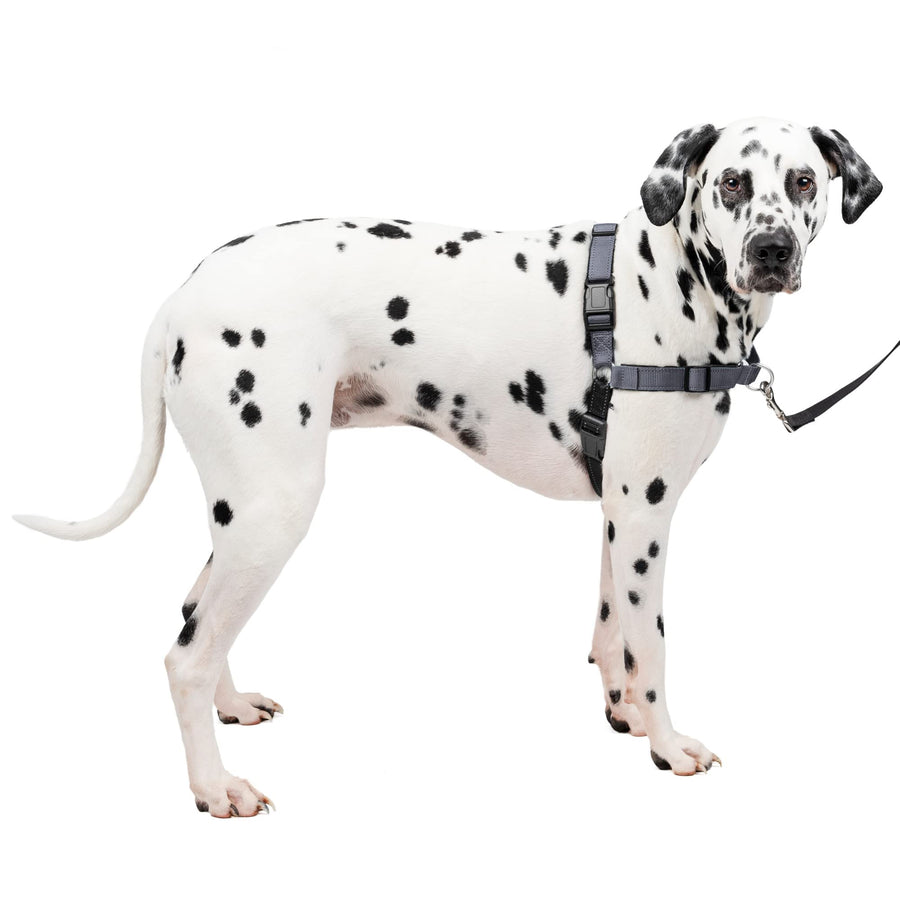 Easy Walk Deluxe Dog Harness, No Pull Dog Harness – Perfect for Leash & Harness Training – Stops Pets from Pulling and Choking on Walks – Large, Steel