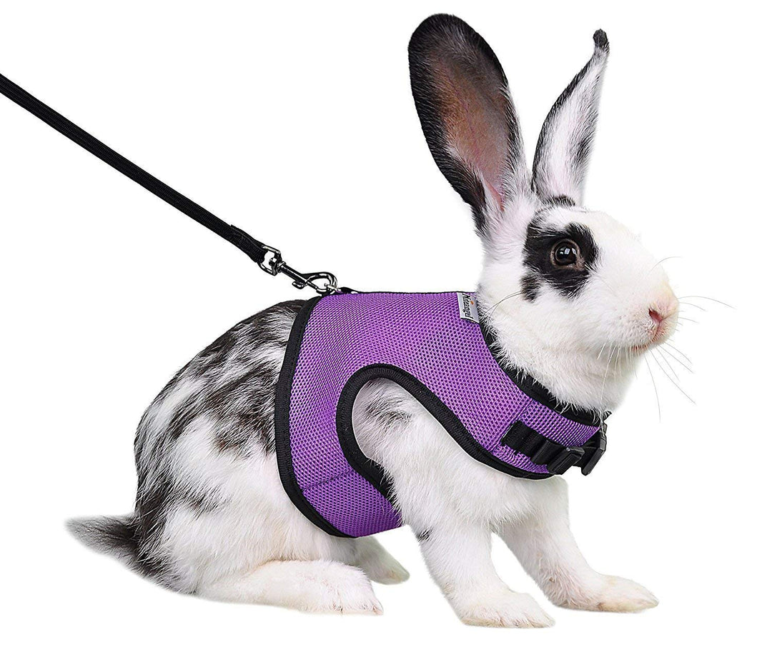 Adjustable Soft Harness with Elastic Leash for Rabbits (M, Purple)