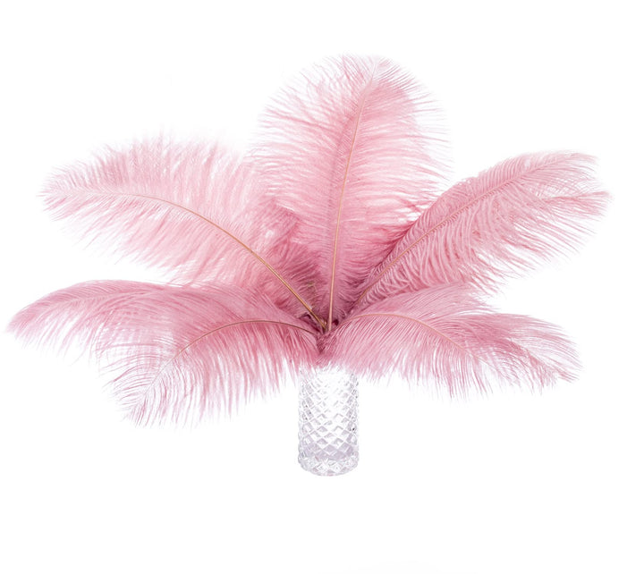 12pcs Natural Ostrich Feathers 12-14inch (30-35cm) for Wedding Party Centerpieces,Flower Arrangement and Home Decoration.(Shrimp Powder)