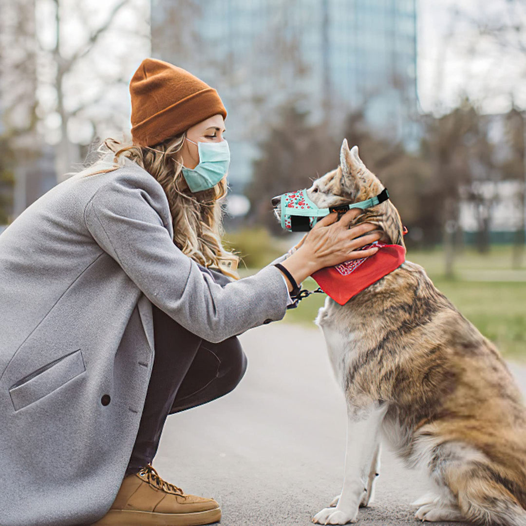 Dog Muzzle,Soft Nylon Print Muzzle Air Mesh Breathable Adjustable Loop Pattern Pets Muzzles for Small Medium Large Dogs,Stop Biting Barking and Chewing Cyan Flower X-Small