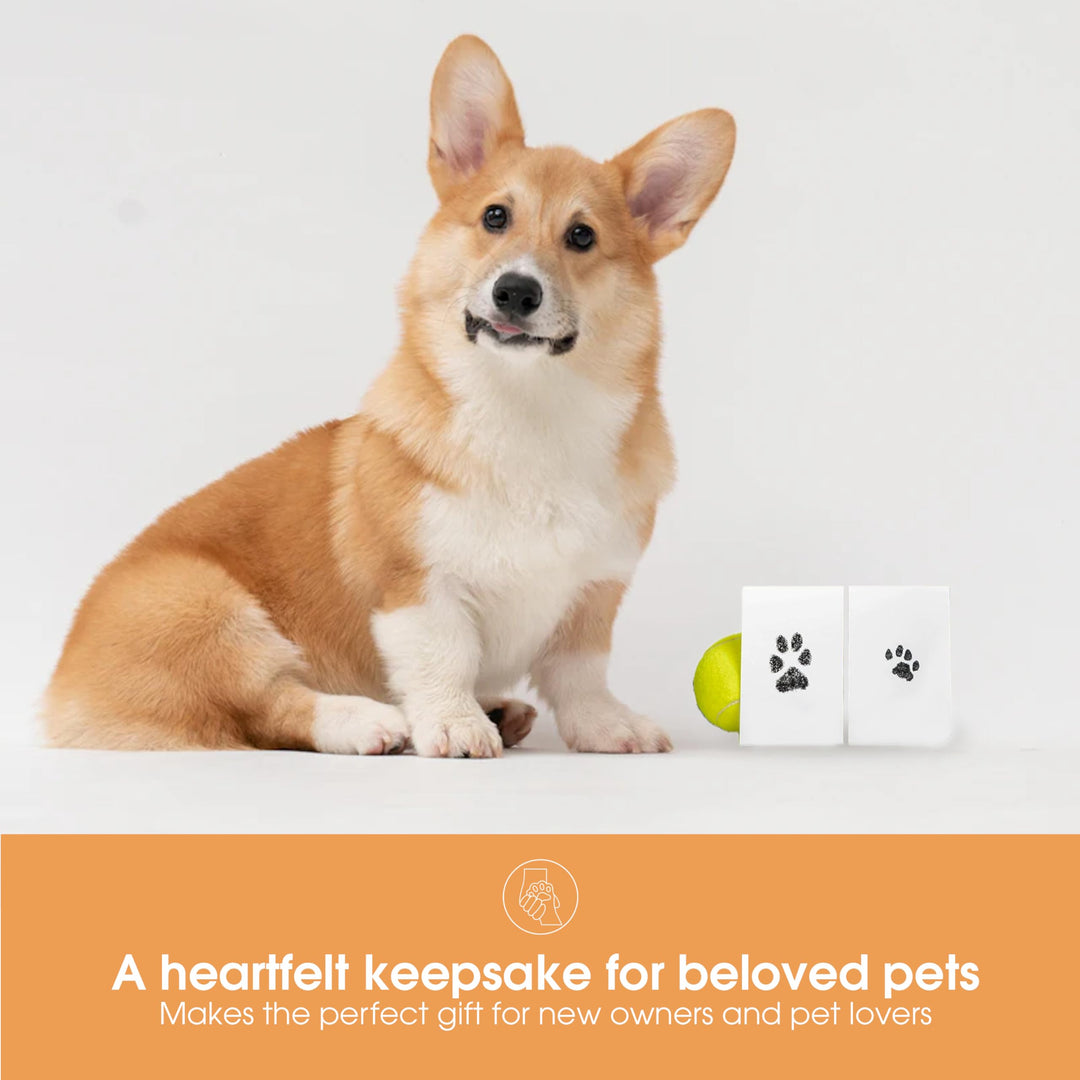 Pet Paw Print Clean Touch Ink Pad and Imprint Cards, Perfect for Cats or Dogs, Black