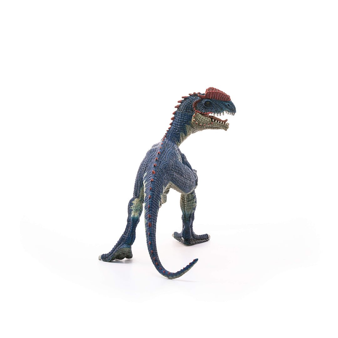 Dinosaurs, Jurassic Era velociraptor Dinosaur Toys for Boys and Girls, Dilophosaurus Toy Figure, Ages 4+