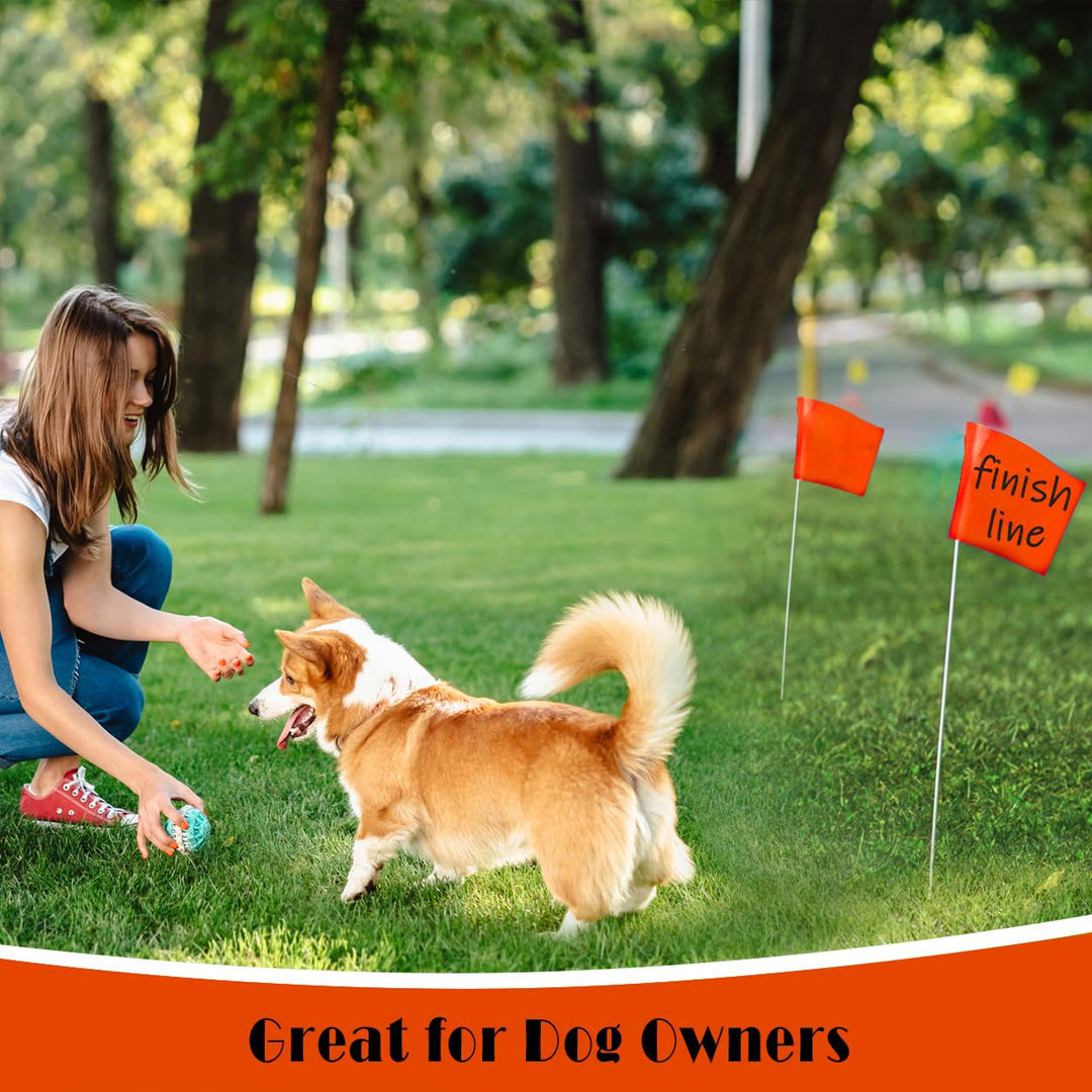 Zozen 100Pack Fluorescent Orange Marking Flags, Writable | Marker Flags - 15x4x5 Inch, Lawn Flags, Landscape Flags, Marker Flags for Lawn, Survey Flags, Irrigation Flags, Sprinkler Flags, Survey Flags.