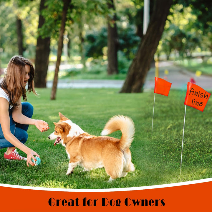 Zozen 100Pack Fluorescent Orange Marking Flags, Writable | Marker Flags - 15x4x5 Inch, Lawn Flags, Landscape Flags, Marker Flags for Lawn, Survey Flags, Irrigation Flags, Sprinkler Flags, Survey Flags.
