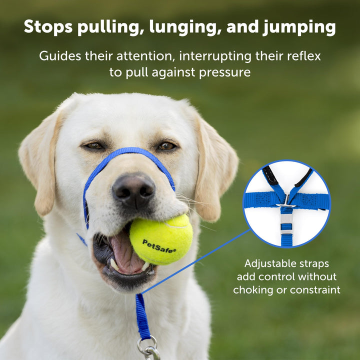 Gentle Leader No-Pull Dog Headcollar - The Ultimate Solution to Pulling - Redirects Your Dog's Pulling for Easier Walks - Helps You Regain Control - Small, Raspberry Pink,1 Count (Pack of 1)