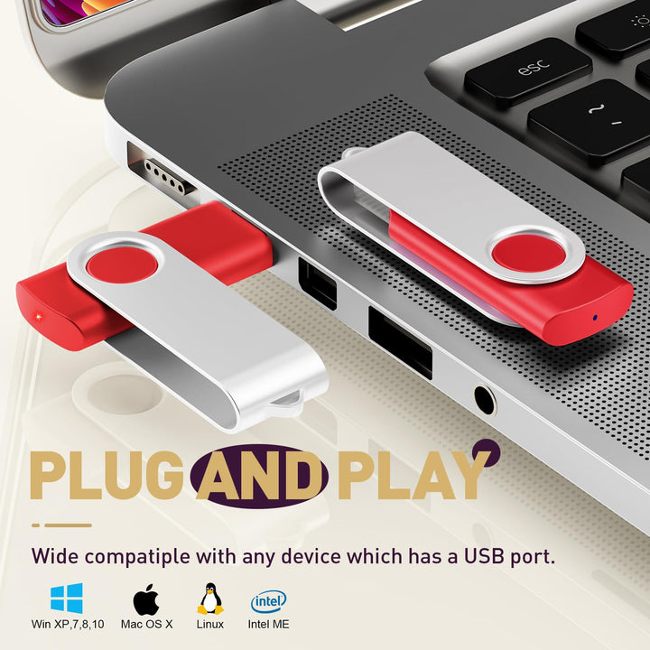 Thumb Drive 2GB Bulk 10 Pack Flash Drives - Multipack 2 GB Pen Drive Fold Data Storage USB 2.0 Memory Stick Zip Drive - Swivel Red PenDrive Jump Drives Data Storage with 10pcs Lanyards