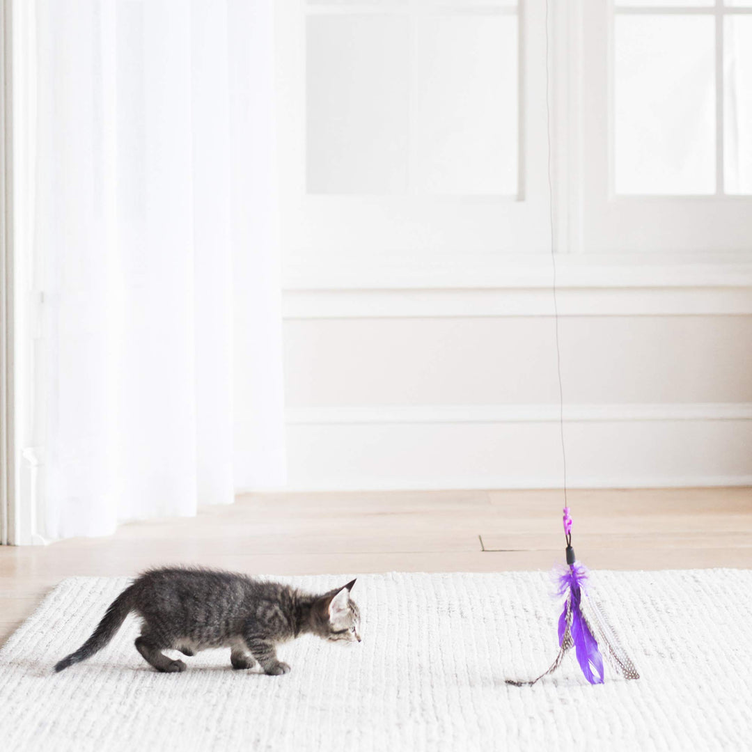 Jackson Galaxy Air Wand Interactive Cat Toy