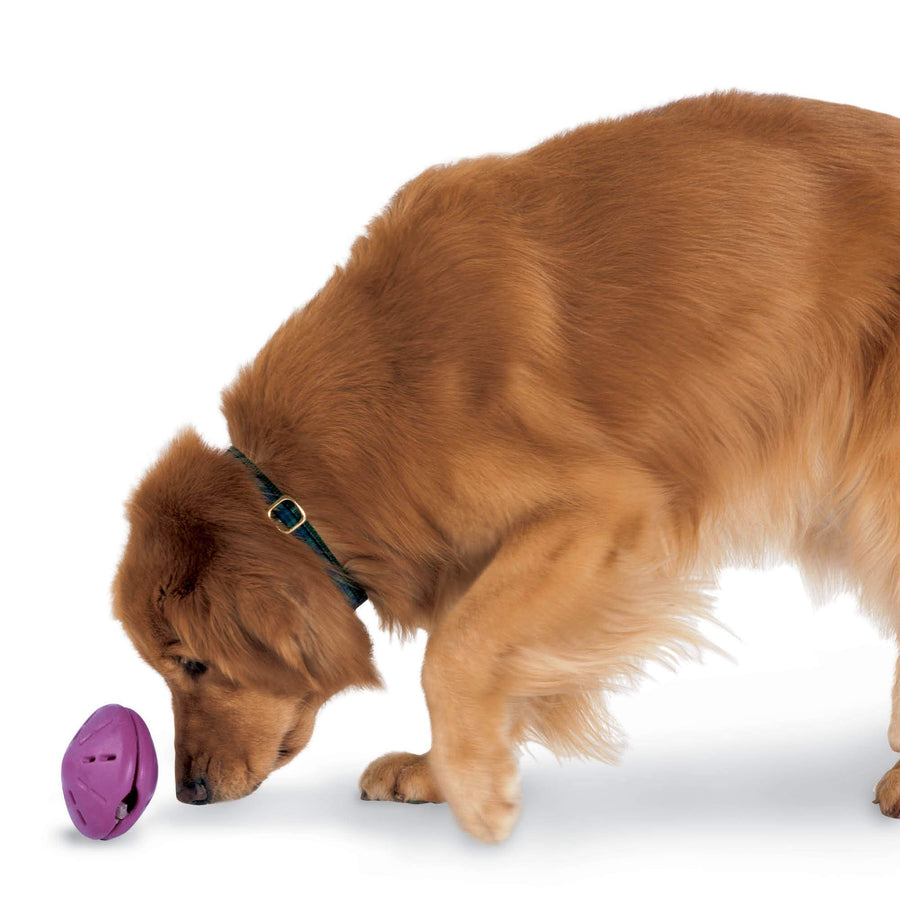 Busy Buddy Twist 'n Treat Dispensing Dog Toy - Large