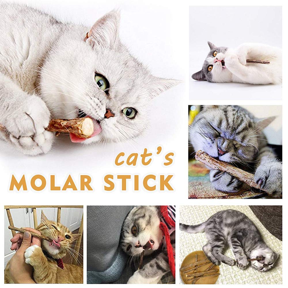 Silvervine Sticks for Cats, Natural Catnip Matatabi Chew Sticks Teeth Molar Chew Toys for Cat Kitten Kitty (at Least 12 PCS)