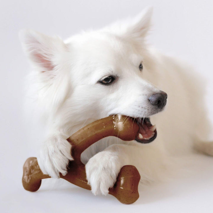 Indestructible Wishbone Dog Chew Toy for Aggressive Chewers, Long Lasting Tough Boredom Breaker for Dogs, Real Peanut Flavour, For Medium Dogs, Made in the USA.
