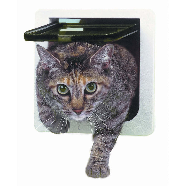 Cat Flap Door with 4 Way Lock, 6.25 x 6.25 Flap Size